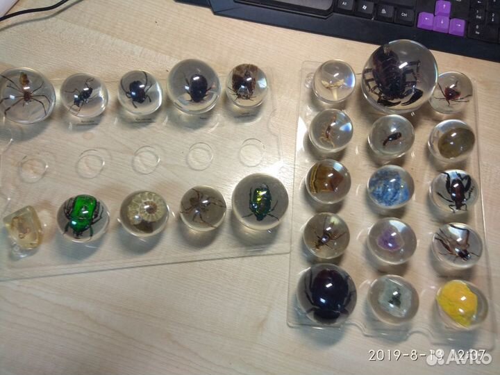 Коллекция Насекомых Насекомые в сферах