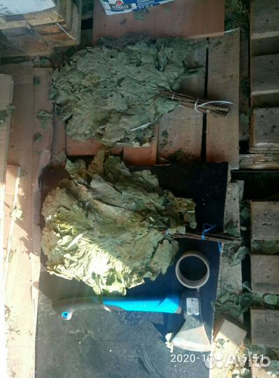 Дубовые веники для бани