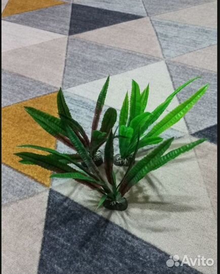 Искуственные растения Камни Ракушки