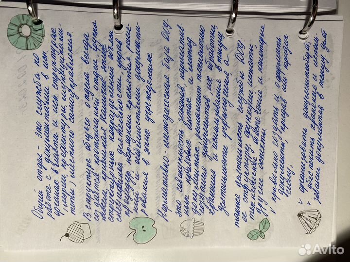 Перепишу лекции