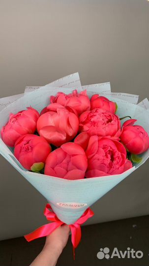 Цветы пионы. Букет пионов. Пионы. Цветы