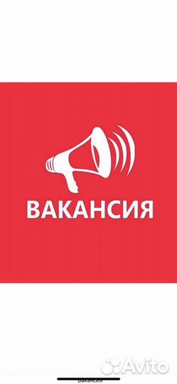 Продавец консультант