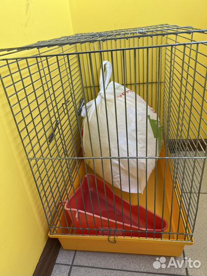 Клетка для хорька, туалет и шар