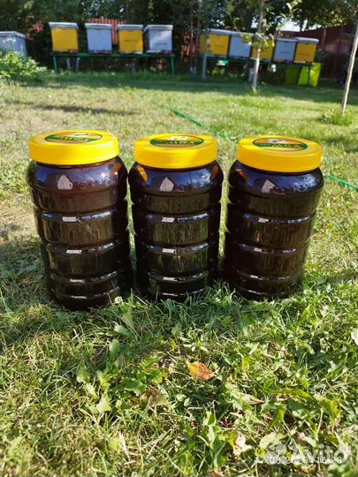 Мед гречишный 2023