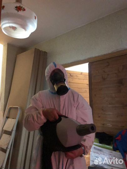 Уничтожение клопов, травить тараканов. Дезинфекция