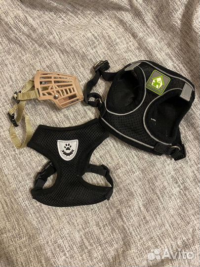 Одежда для собак мелких пород