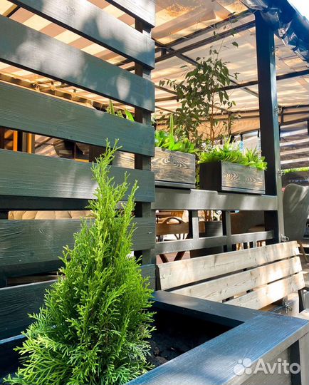 Пергола - кашпо