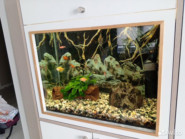 Аквариум со всеми принадлежностями и рыбками