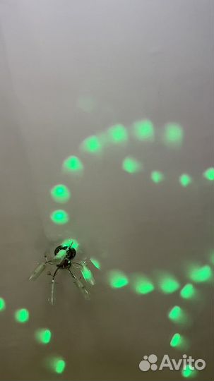 Светомузыка