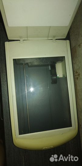 Сканер hp