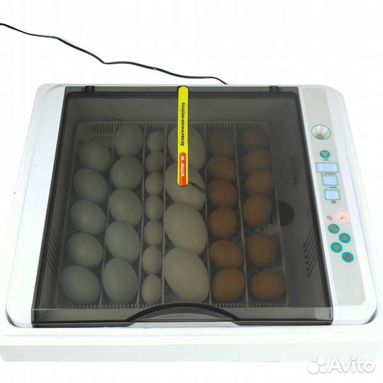 Инкубатор 