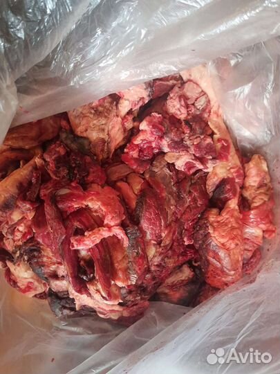 Обрезь мясная говядина