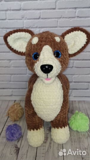 Корги