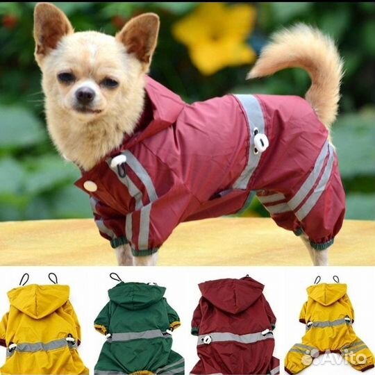 Одежда для собак