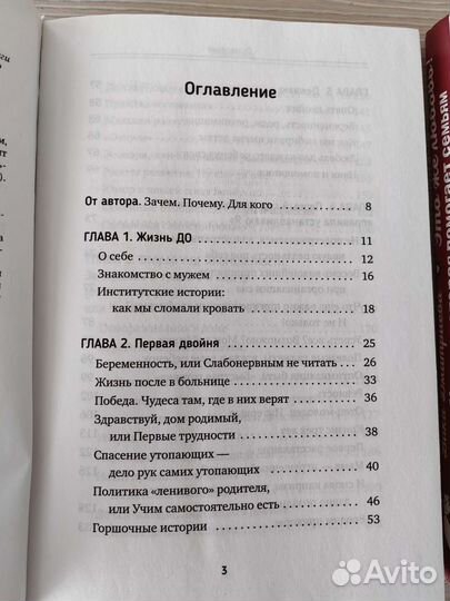 В. Дмитриева и А. Зюрикова