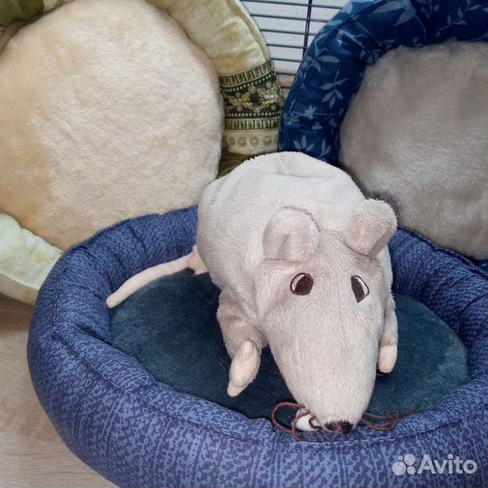 Гамаки и лежанки для грызунов