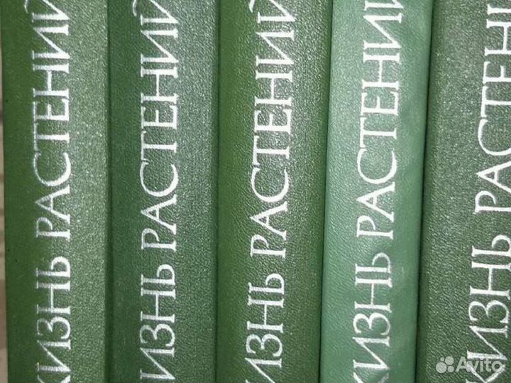 Энциклопедия Жизнь растений, животных