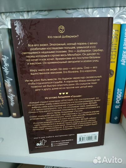 Доберман Эль Реми