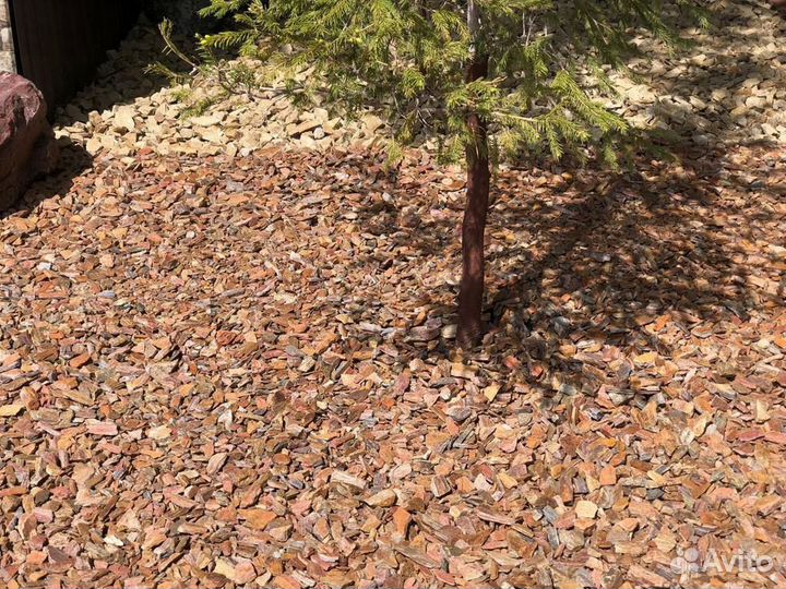 Кора мульча лиственницы и сосны