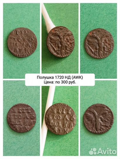 Полушки Петра I (1718-1722)