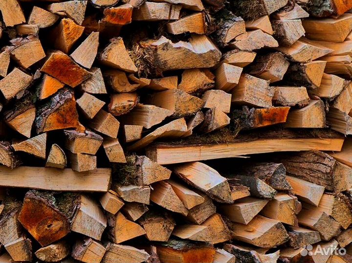 Дрова без жучков