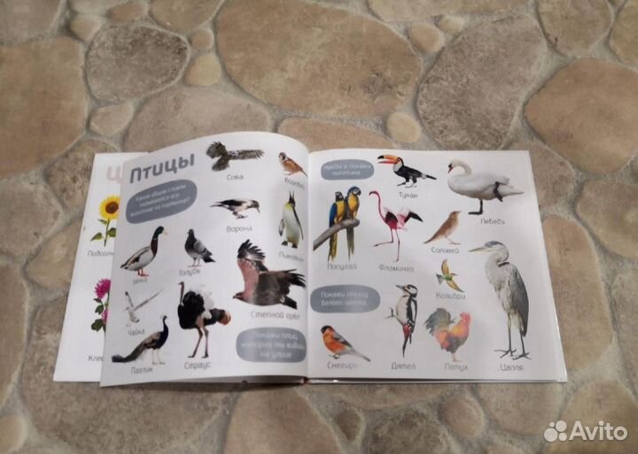 Детская книга clever фотокнига изучаем мир учебник