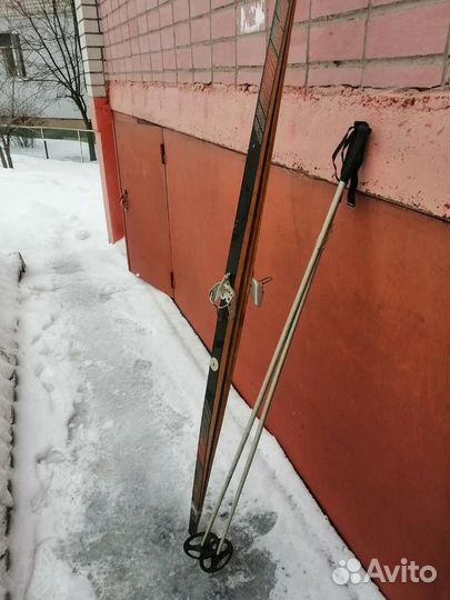 Лыжи