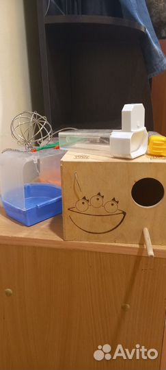 Гнездо для попугаев