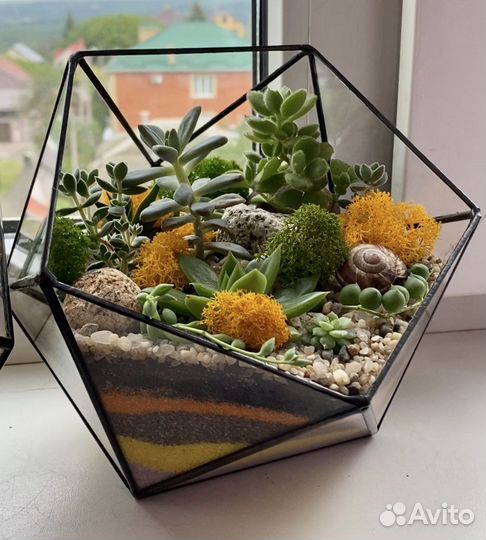 Флорариум «Икосаэндр»