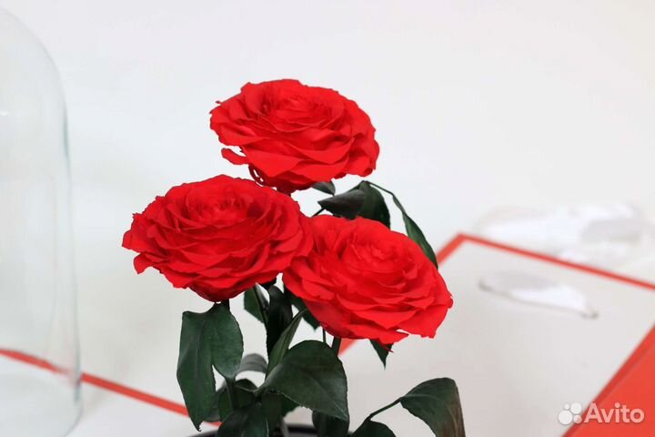 Цветы