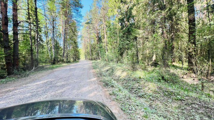 Участок 25 сот. (СНТ, ДНП)