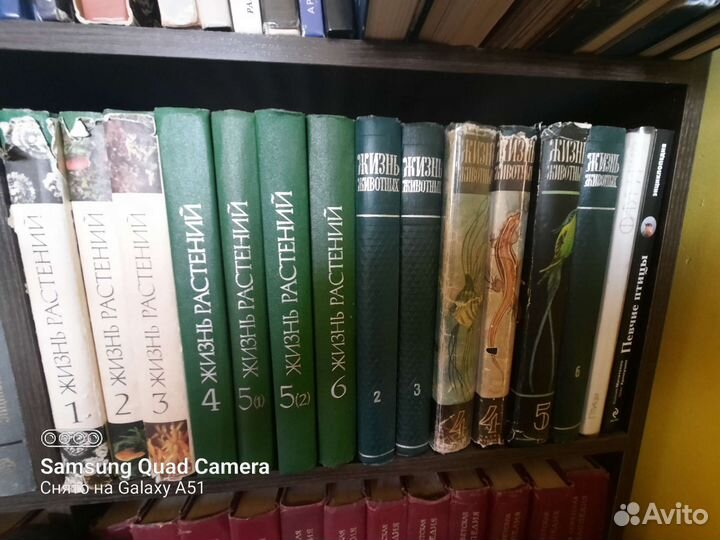 Энциклопедии жизнь растений жизнь животных