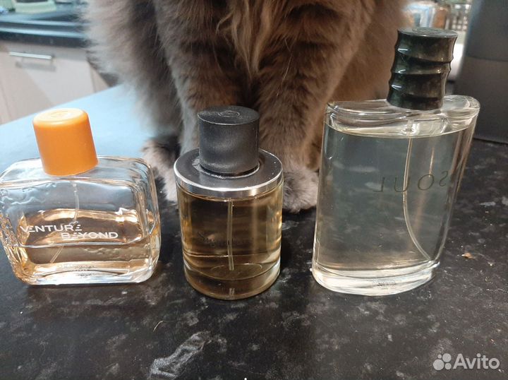 Мужская туалетная вода oriflame