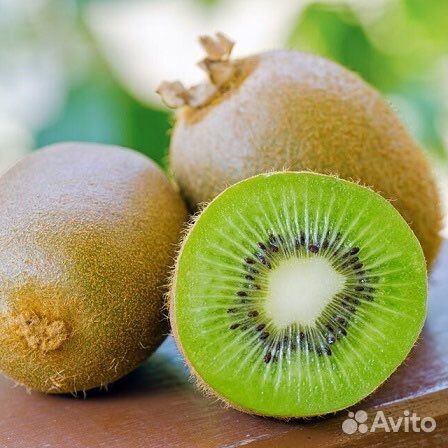 Киви Закарпатский самоплодный (лиана)