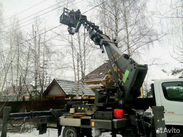 Спил деревьев с автовышки, Услуги автовышки