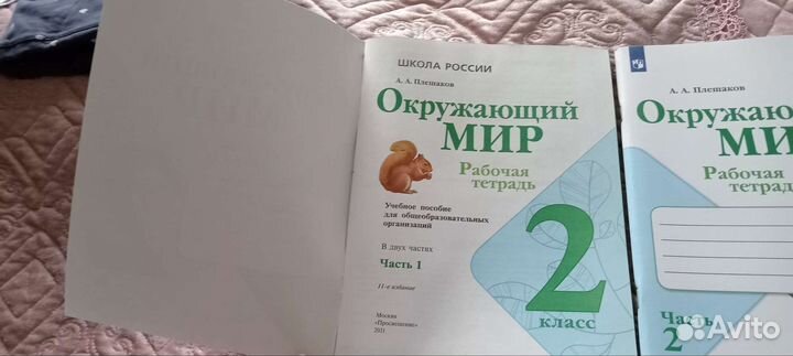 Рабочая тетрадь окружающий мир 2 класс