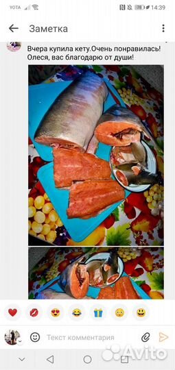 Кета потрошёная с головой