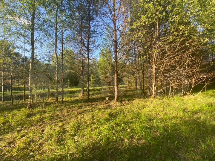 Участок 20 сот. (СНТ, ДНП)