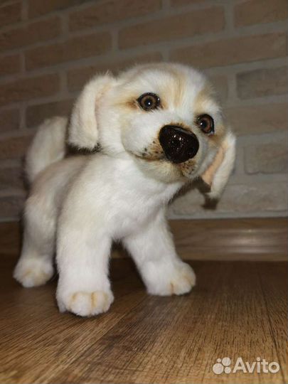 Собака реалистичная щенок лабрадора