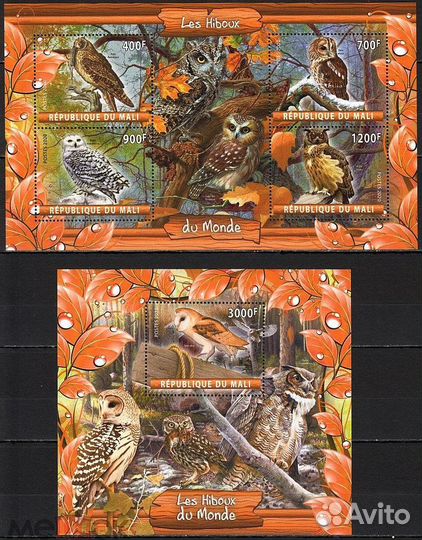 Хищные птицы Совы