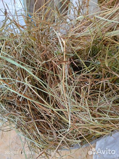 Сено луговое