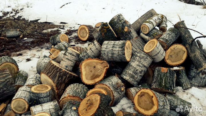 Дрова бесплатно