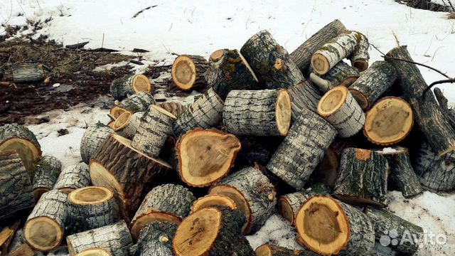 Дрова бесплатно