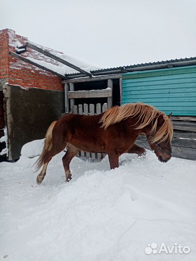 Два советских тяжеловоза