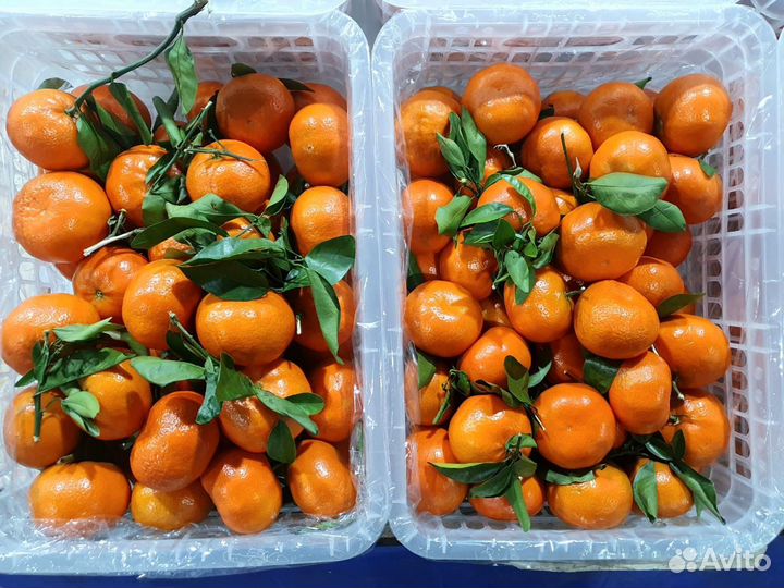 Доставка овощей и фруктов