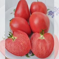 Знаменитая клубника м.Шлаубах семена томатов