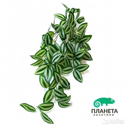 Искусственные растения для террариума, аквариума