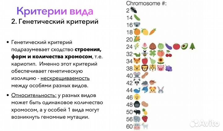 Репетитор по биологии огэ/егэ 2024