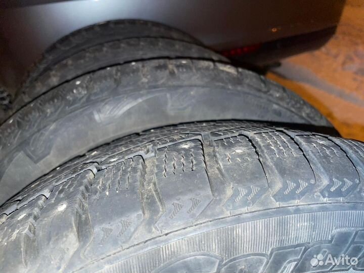 Резина зимняя 205 55 r16 Cordiant