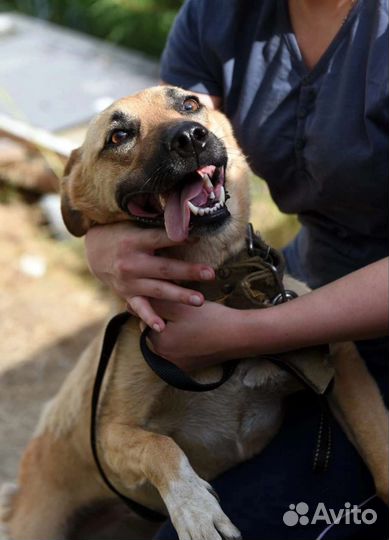 Заберите меня домой